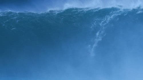 Rock Bottom Riser Bild 1