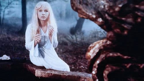 Die Gänsehirtin am Brunnen Bild 1