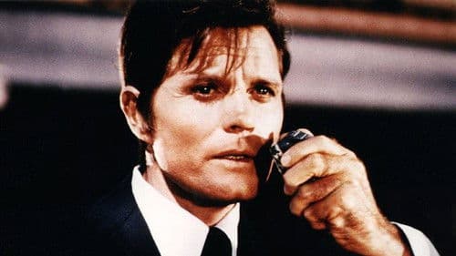 Hawaii Fünf-Null Bild 6