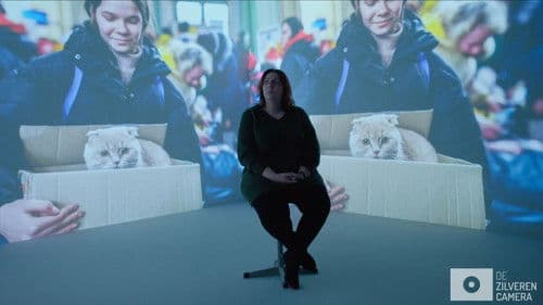 Kitten of vluchteling? Bild 2