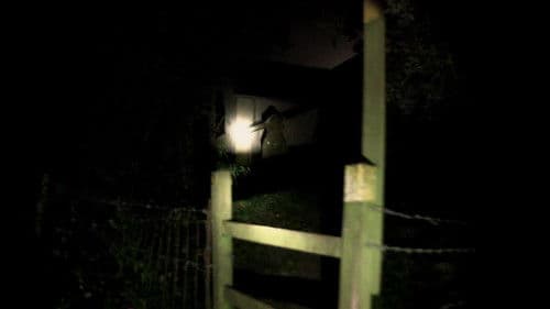 The Borderlands Bild 6