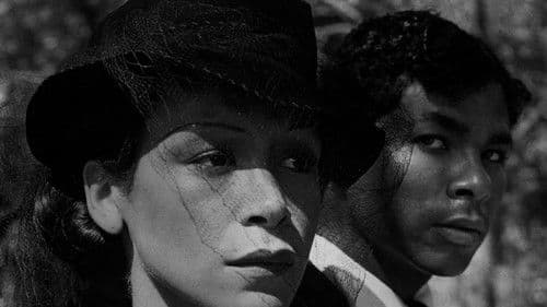 Book of Numbers Bild 1