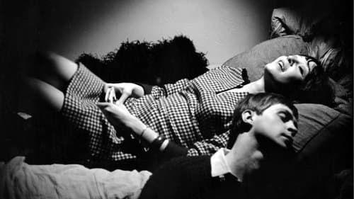 Le chat dans le sac Bild 1