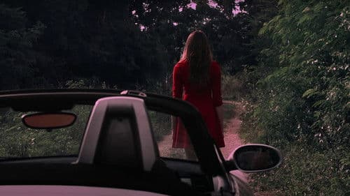 ปรากฏการณ์ Bild 2