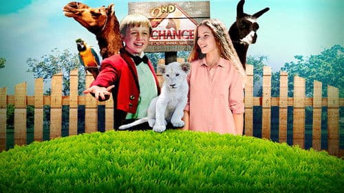 Jimmy's Jungle Bild 4