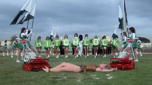 Wacko – Da wackelt die Bude Bild 1