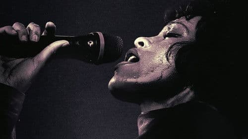 Fame Kills: Whitney Houston Bild 1