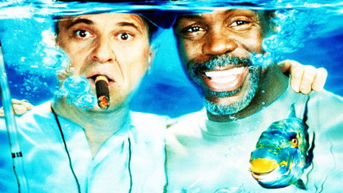 Der 100.000 Dollar Fisch Bild 3