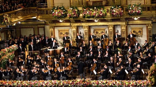Neujahrskonzert der Wiener Philharmoniker 2017 Bild 1