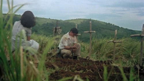 Oro, Plata, Mata Bild 5