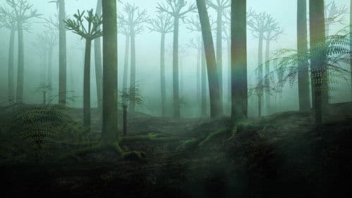 Die Erde - Ein Planet von innen Bild 4