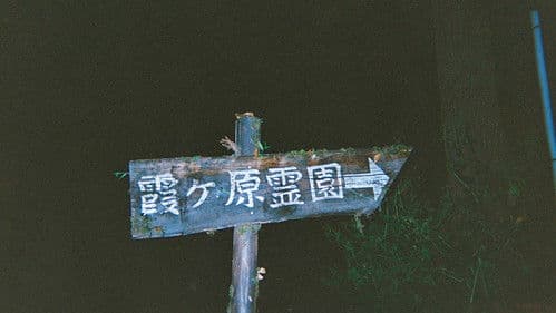 口に関するアンケート Bild 1