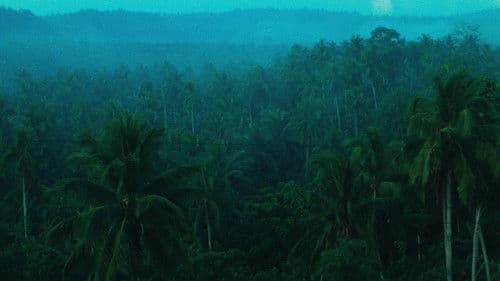 Days of Being Wild Bild 8