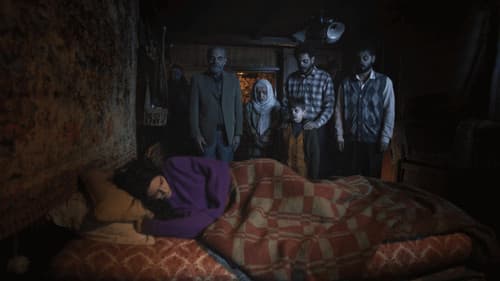 Haile: Bir Aile Kabusu Bild 1