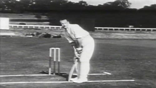 How to Play Cricket Bild 1