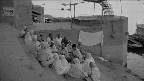 Apus Weg ins Leben: Der Unbesiegbare Bild 2