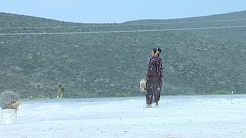 Tropico de cancer Bild 1