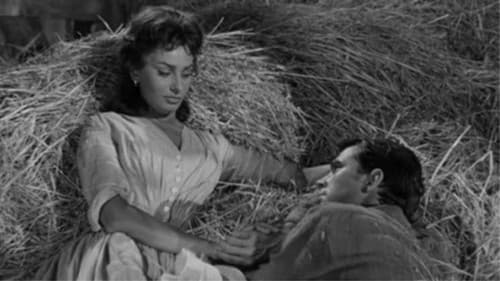 Begierde unter Ulmen Bild 7