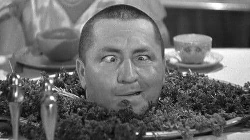 Dutiful But Dumb Bild 4