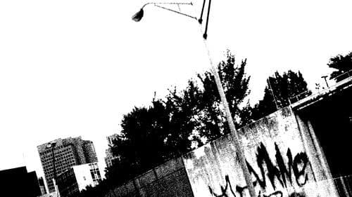 Velocity Into Execution Bild 1