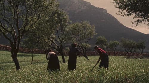 Un giorno in Barbagia Bild 2