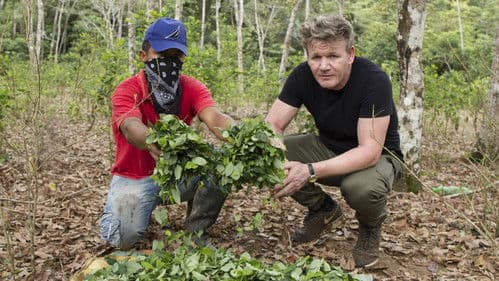 Gordon Ramsay on Cocaine Bild 1