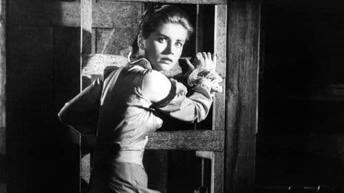 Die Plünderer Bild 6