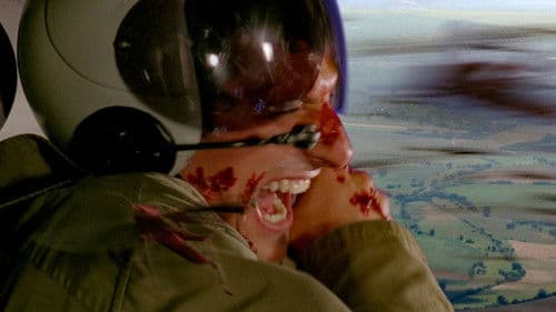 Heuschrecken - die achte Plage Bild 3