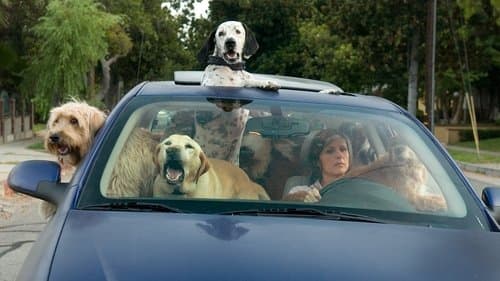 Das Jahr des Hundes Bild 1