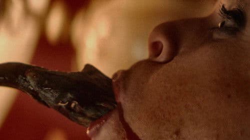 The Black Room Bild 7