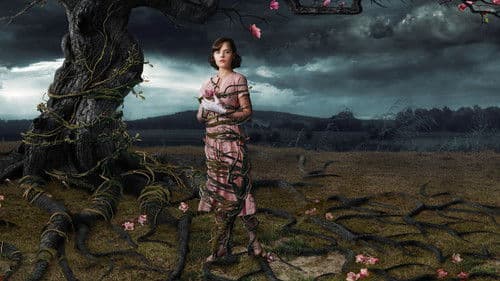 Web of Dreams Bild 4