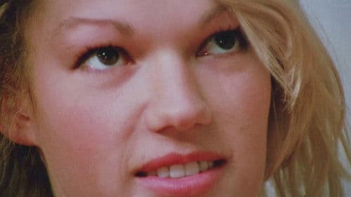 Sechs Schwedinnen von der Tankstelle Bild 7