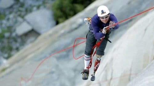 The Gimp Monkeys Bild 2