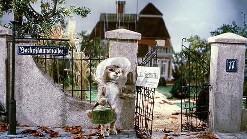 Katze mit Hut Bild 2