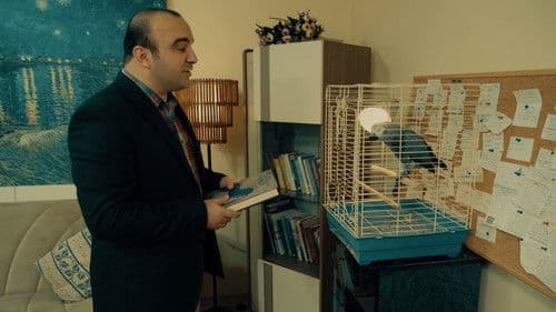 The Librarian Bild 5