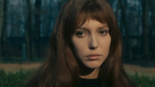 Der Schweinestall Bild 6