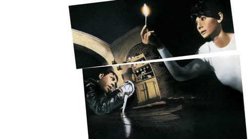 Warte, bis es dunkel ist Bild 2