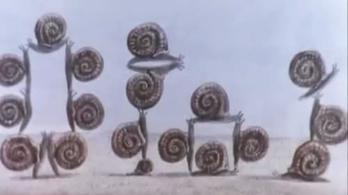 Les escargots Bild 5