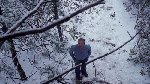 Kleine Teufel Bild 5