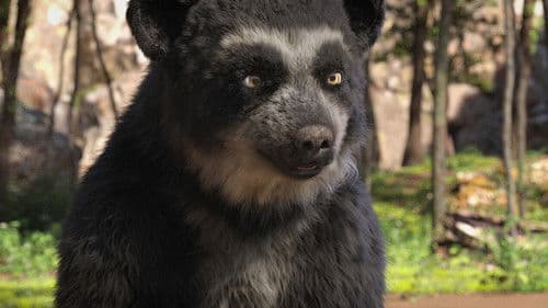 Milagros: Una osa extraordinaria Bild 1