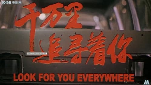 Look For You Everywhere Bild 1