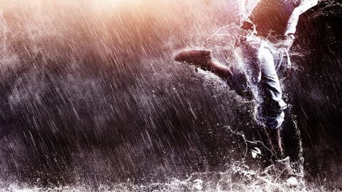 Step Up: Jahr des Tanzes Bild 2