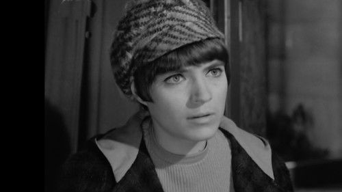 A Hamis Izabella Bild 2