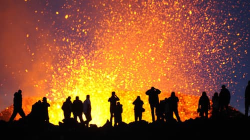 The Human Element Bild 1