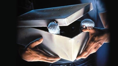 Gremlins - Kleine Monster Bild 2