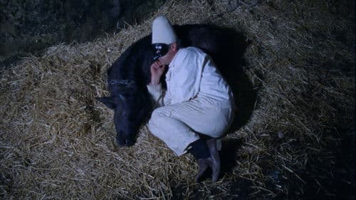 Bella e perduta Bild 1