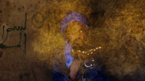 Sun of the Soil Bild 3