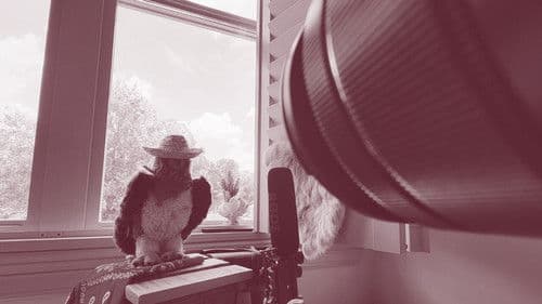 Criminal Record: Zoo-Kept Bild 1