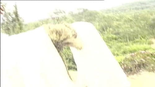 风月宝鉴之初入桃源洞 Bild 1