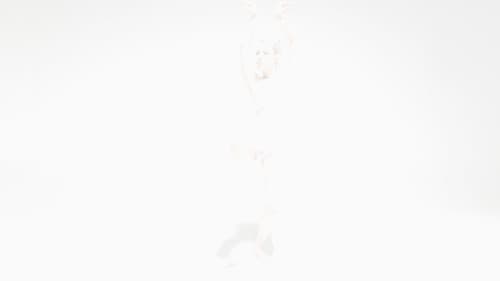 Flower of Flesh, Celestial Body Bild 5